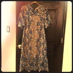 Shoshanna lace dress